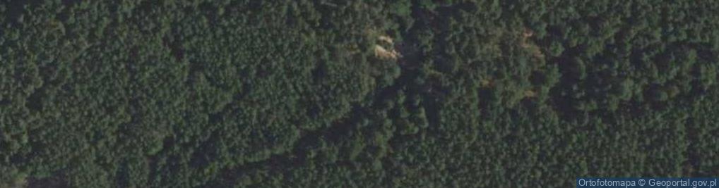 Zdjęcie satelitarne Grodzewo szkoła