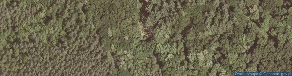Zdjęcie satelitarne Gruss aus Waldhof