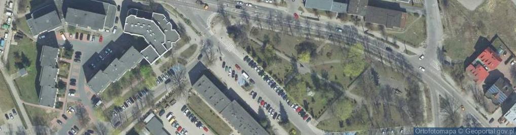 Zdjęcie satelitarne Hajnowka pomnik Zubra ogolny