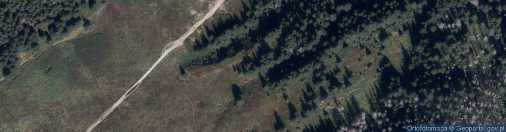Zdjęcie satelitarne Hala kondratowa