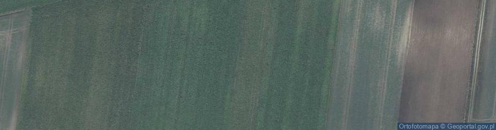 Zdjęcie satelitarne Horodło Bug
