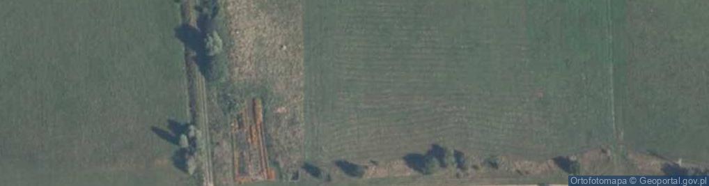 Zdjęcie satelitarne IMG 0536 Tettigoniidae