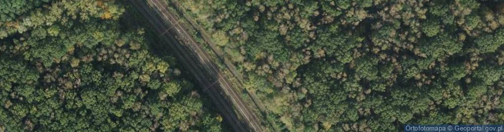 Zdjęcie satelitarne IMG 0906 locomotive