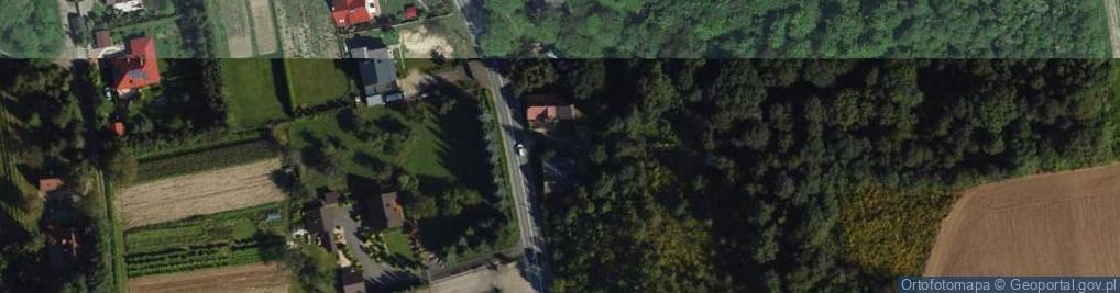 Zdjęcie satelitarne Januszowice - zajazd