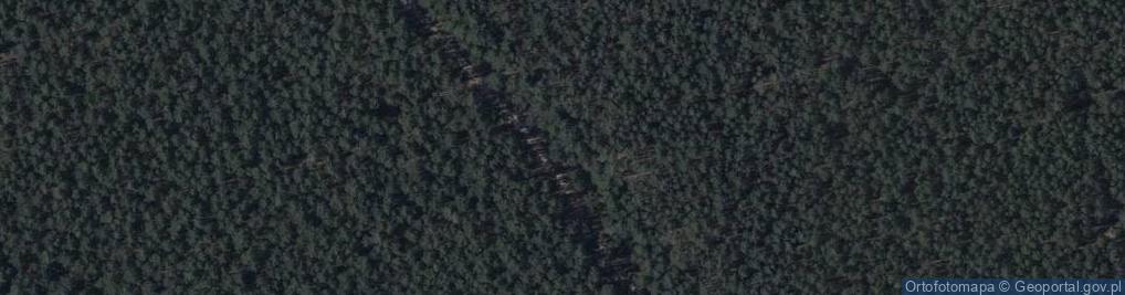 Zdjęcie satelitarne Jedna z Ulic w Ciborzu
