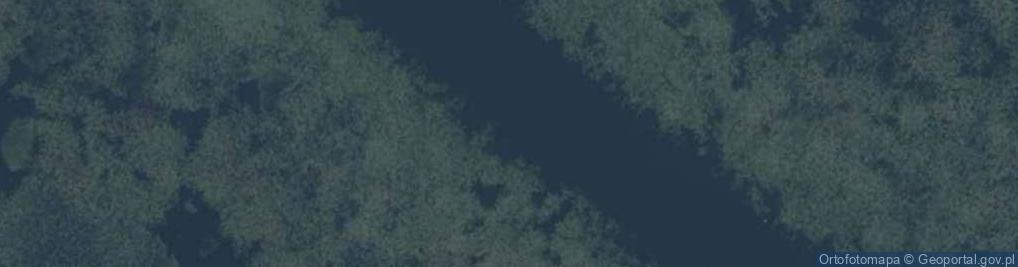 Zdjęcie satelitarne Jezero Drużno, pták