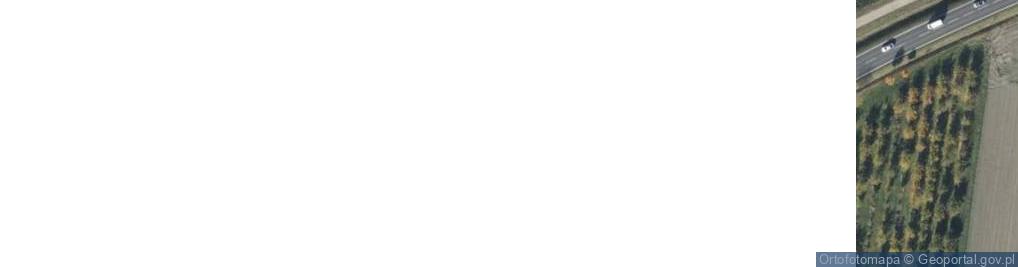 Zdjęcie satelitarne JKRUK 20090906 MIESZKANCY KROBII W STROJACH LUDOWYCH NA JASNEJ GORZE IMG 8126