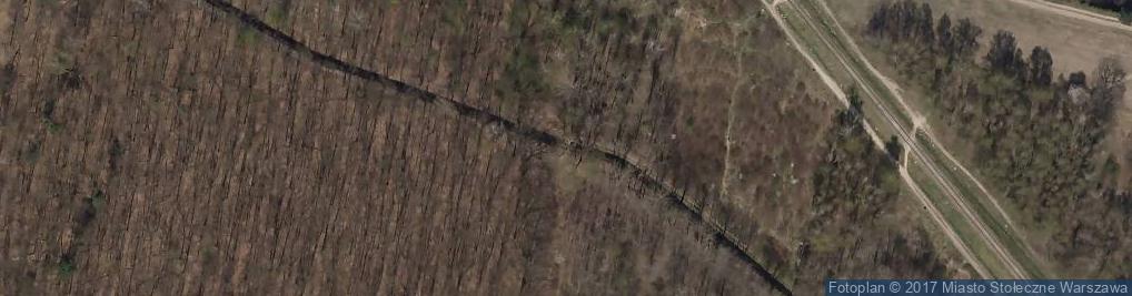 Zdjęcie satelitarne Kabaty Forest trench