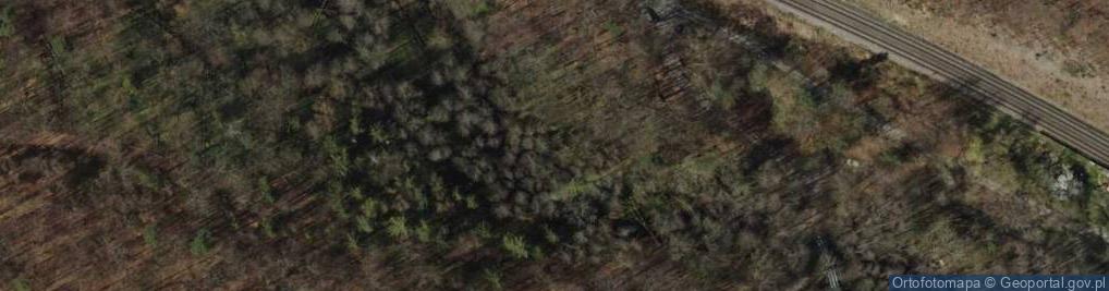 Zdjęcie satelitarne Kacze legi 3333