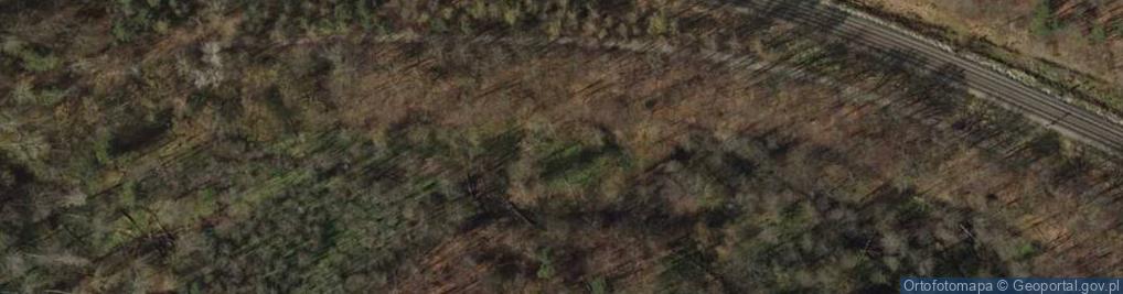 Zdjęcie satelitarne Kacze legi 3336