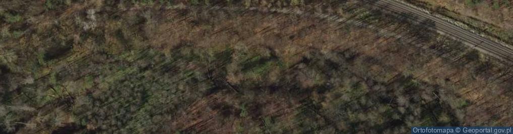 Zdjęcie satelitarne Kacze legi 3337