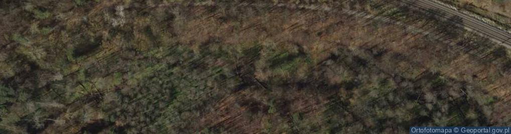 Zdjęcie satelitarne Kacze legi 3339