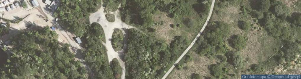 Zdjęcie satelitarne Kapliczka w Ludwinowie