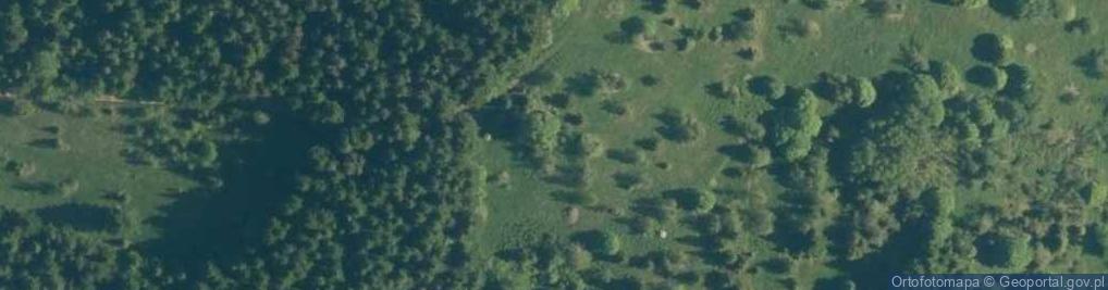 Zdjęcie satelitarne Kiczora-wido-na-beskid-makowski