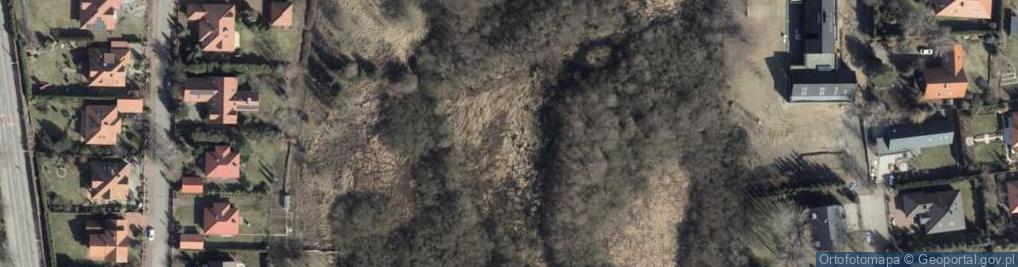 Zdjęcie satelitarne Kleskowo Deby Krzywoustego 2006-04