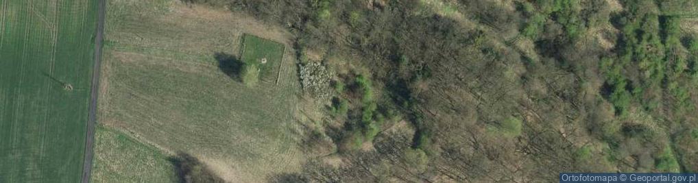 Zdjęcie satelitarne Koronowo church