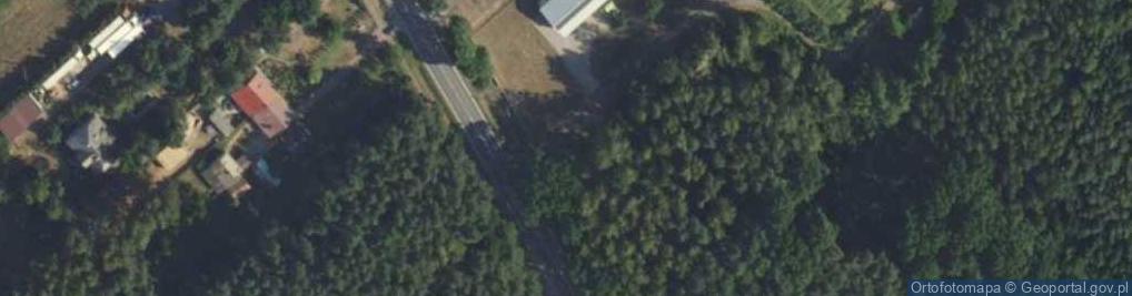 Zdjęcie satelitarne Korytow quercus robur01