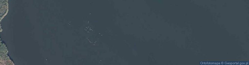 Zdjęcie satelitarne Kościół pod wezwaniem świętego Warzyńca w Wonieściu