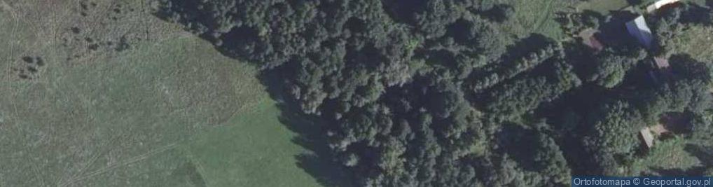 Zdjęcie satelitarne Kotłówka żuraw
