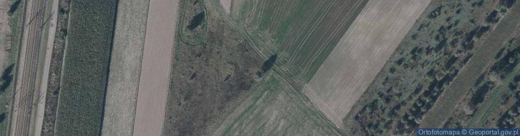 Zdjęcie satelitarne Krzyz smolanka krynka