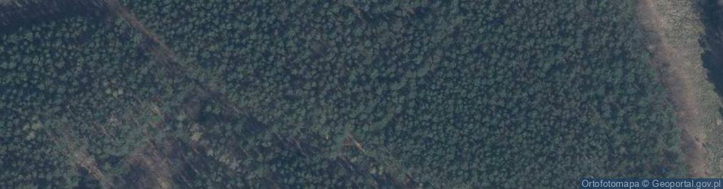 Zdjęcie satelitarne Lagowski Park Krajobrazowy-World Wind
