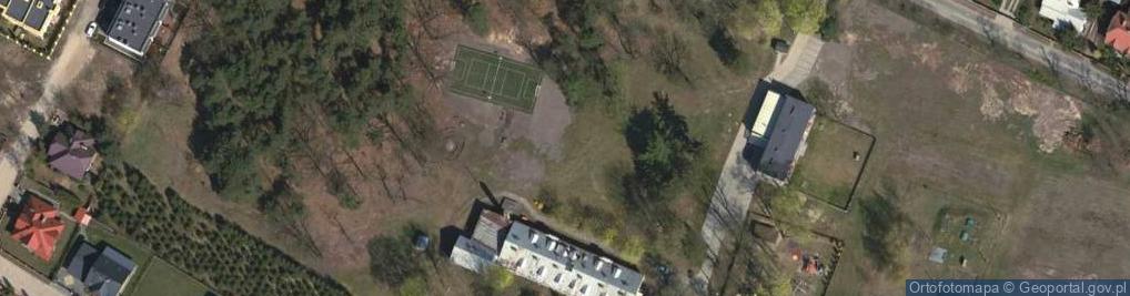 Zdjęcie satelitarne Larix decidua Marki 4