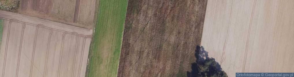 Zdjęcie satelitarne Las oslonki03