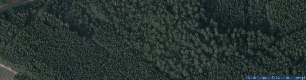 Zdjęcie satelitarne Laszczyny