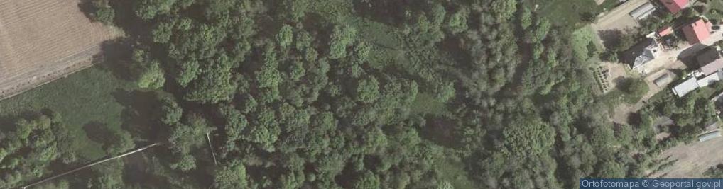 Zdjęcie satelitarne Legowski Wood,Nowa Huta,Krakow,Poland