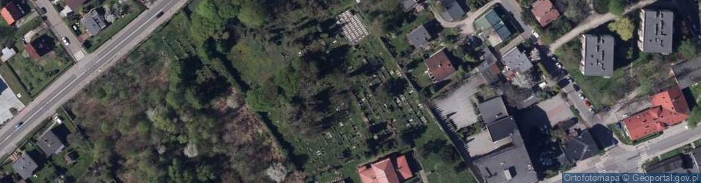 Zdjęcie satelitarne Loewenberg family grave