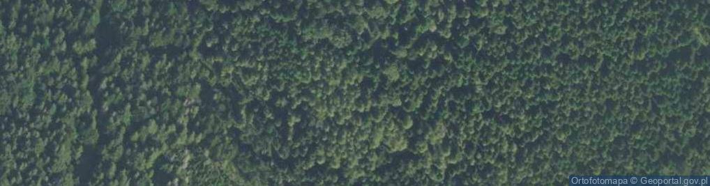 Zdjęcie satelitarne Łopień a5