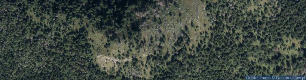 Zdjęcie satelitarne Łysanki T58