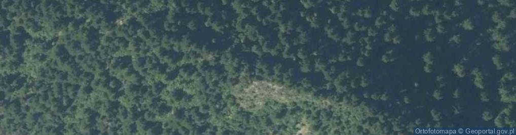 Zdjęcie satelitarne Macelowa Góra a1
