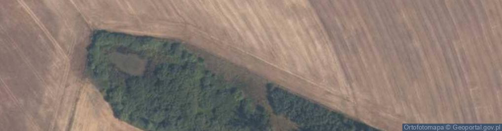 Zdjęcie satelitarne Magistrala węglowa - most 2