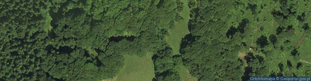 Zdjęcie satelitarne Mapa gmp