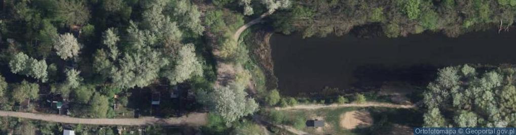 Zdjęcie satelitarne Martówka (Martwa Wisła w Toruniu)