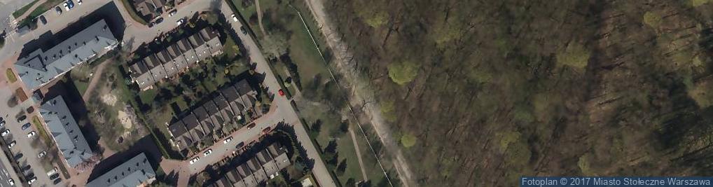 Zdjęcie satelitarne Mieszko oak
