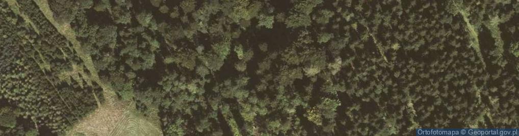 Zdjęcie satelitarne Młynowiec, domy 1