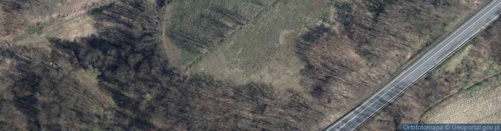 Zdjęcie satelitarne Młynówka (Kłodzko)