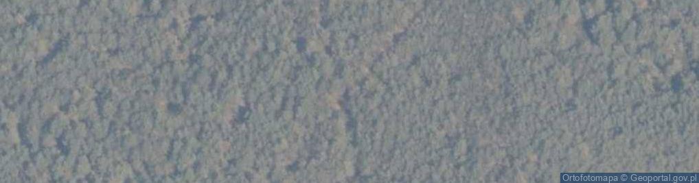 Zdjęcie satelitarne Nature reserve Mierzeja Sarbska - Road 03