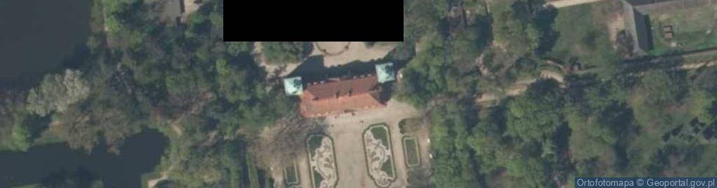 Zdjęcie satelitarne Nieborów Palace - The Green Study-2