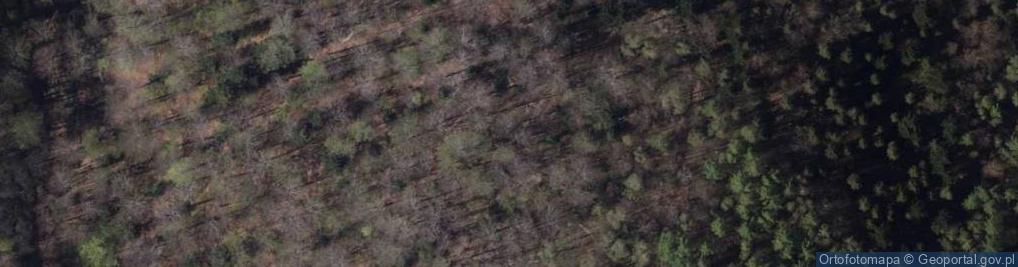 Zdjęcie satelitarne Nieczynny tor saneczkowy na Koziej Gorze w Bielsku-Bialej
