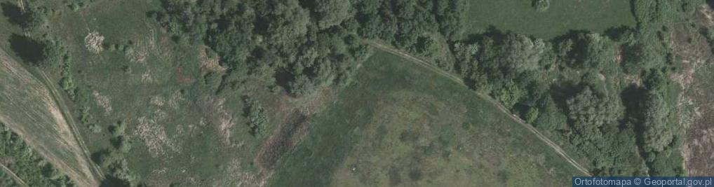 Zdjęcie satelitarne Nisko plac wolnosci