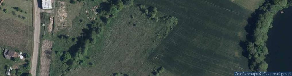Zdjęcie satelitarne Nowa Wioska (pow świebodziński)