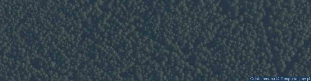 Zdjęcie satelitarne Odry porosty4 02.07.10 p