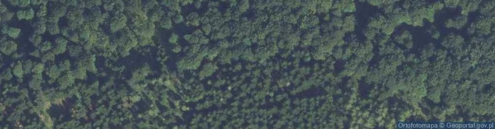 Zdjęcie satelitarne Ostra a1