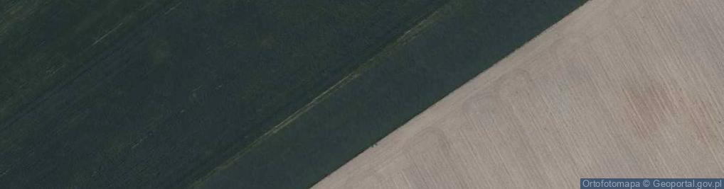 Zdjęcie satelitarne Pałac w Kalsku 2