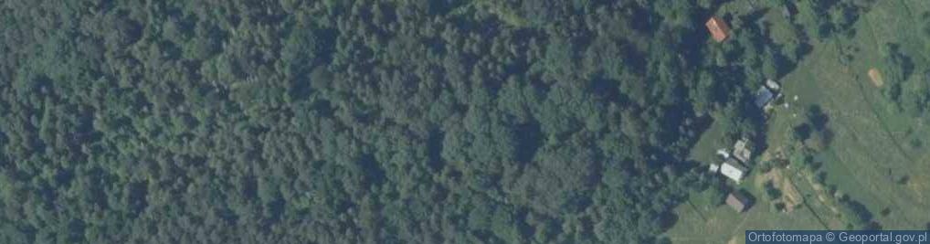 Zdjęcie satelitarne Palenica P28-1