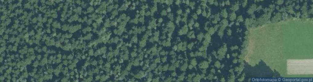 Zdjęcie satelitarne Paproć a1