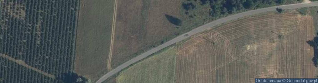 Zdjęcie satelitarne Parcele Wilczoruda fields
